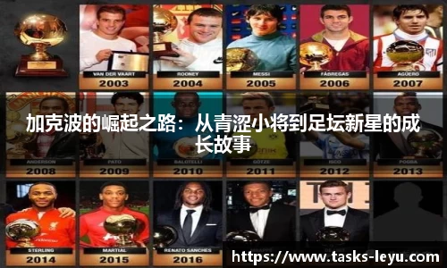 乐鱼体育平台